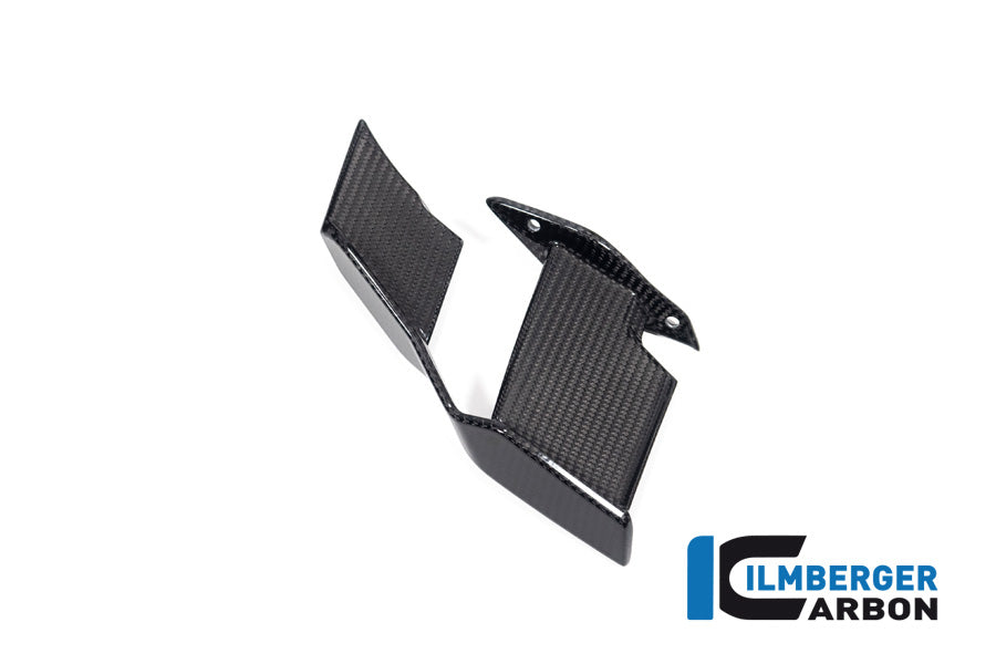 Ilmberger Carbon Winglet, Left for the BMW M 1000 R 2023-2024