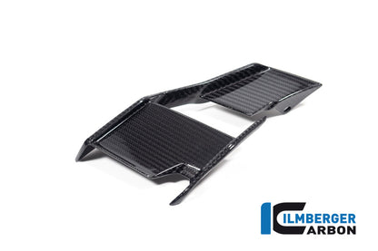 Ilmberger Carbon Winglet, Left for the BMW M 1000 R 2023-2024