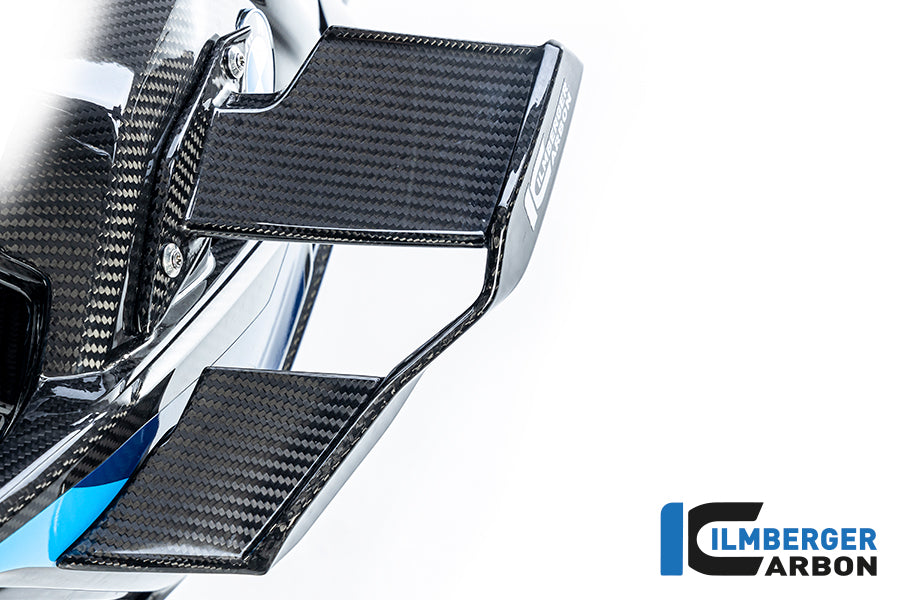 Ilmberger Carbon Winglet, Left for the BMW M 1000 R 2023-2024