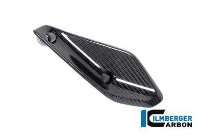 Ilmberger Carbon Flap on the fairing, Left side for the BMW R 1250 RS 2019