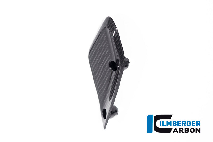 Ilmberger Carbon Flap on the fairing, Left side for the BMW R 1250 RS 2019