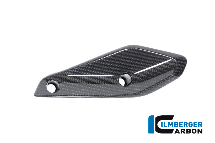 Ilmberger Carbon Flap on the fairing, Left side for the BMW R 1250 RS 2019