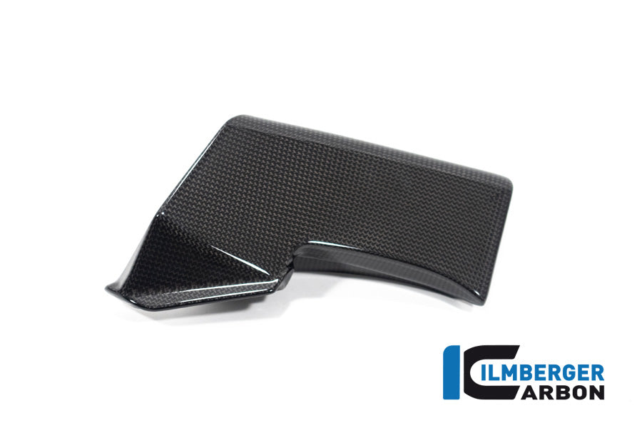 Ilmberger Carbon Fairing Side Winglet Kit Left, for the Ducati Streetfighter V2 '22 / Streetfighter V4 '20-23