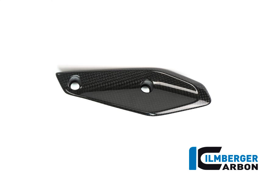 Ilmberger Carbon Fairing Side Winglet, Left for the BMW R 1200 RS 2015