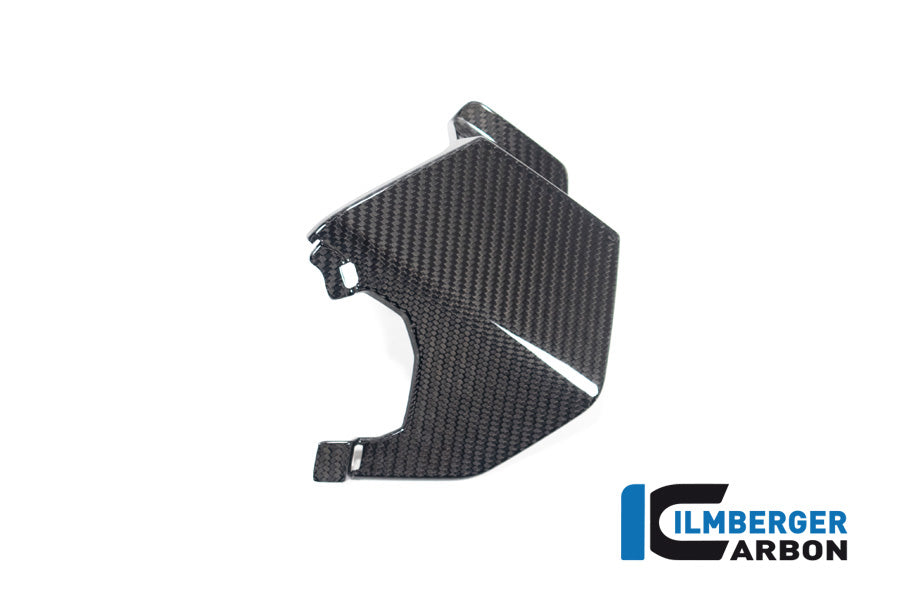 Ilmberger Carbon Upper Wing, Left for the BMW M 1000 XR 2024