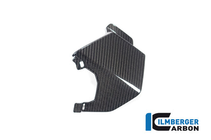 Ilmberger Carbon Upper Wing, Left for the BMW M 1000 XR 2024