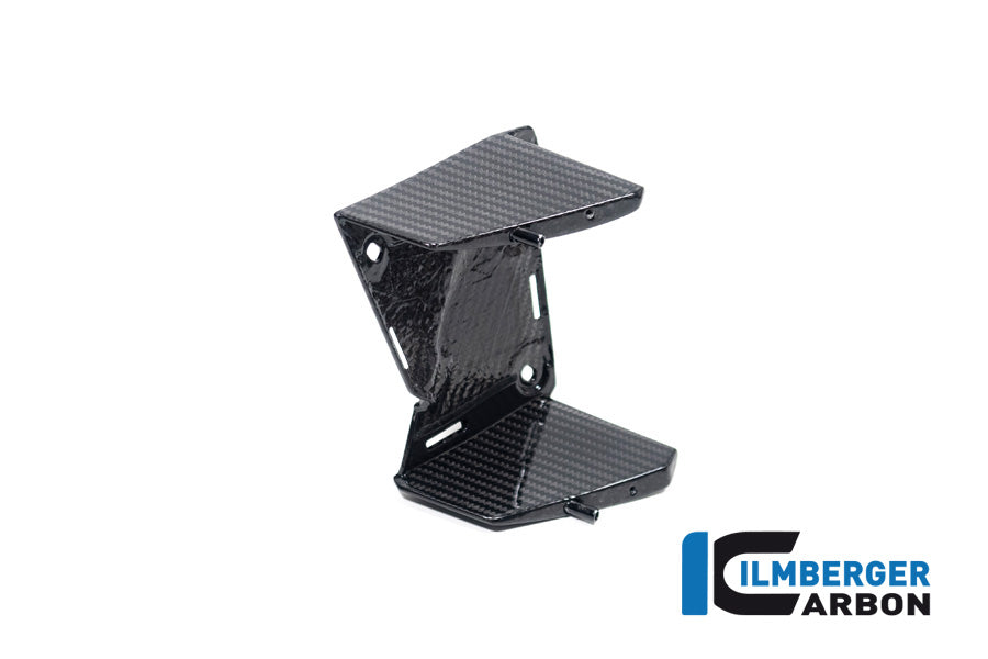 Ilmberger Carbon Inner Wing, Left for the BMW M 1000 XR 2024