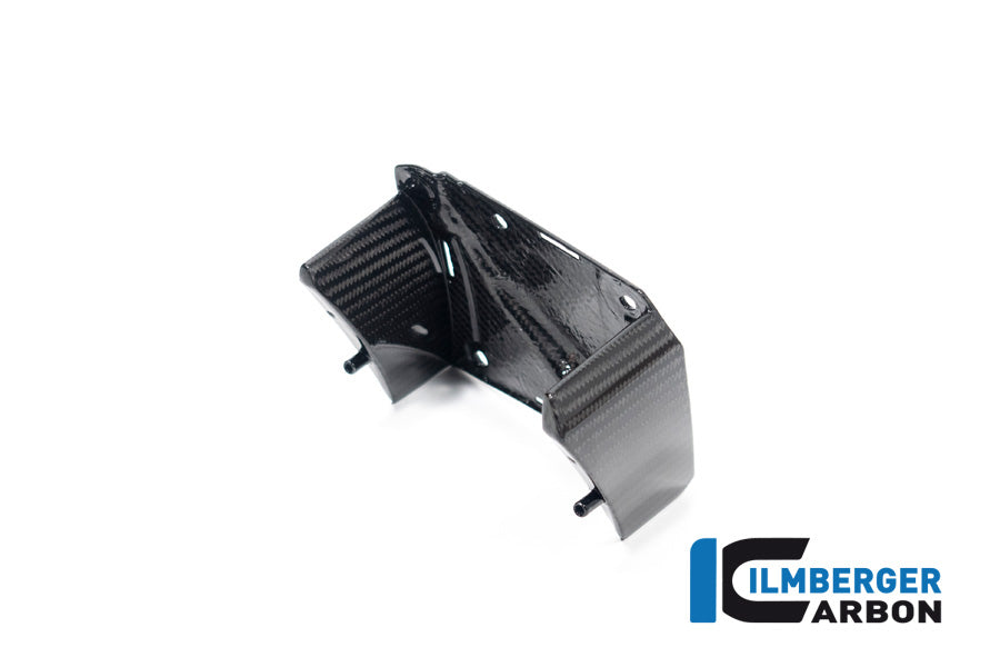 Ilmberger Carbon Inner Wing, Left for the BMW M 1000 XR 2024