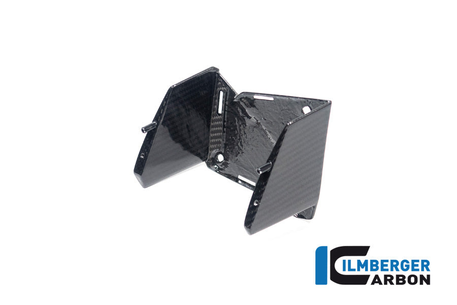 Ilmberger Carbon Inner Wing, Left for the BMW M 1000 XR 2024