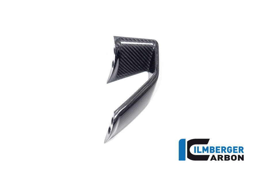 Ilmberger Carbon Fairing Side Winglet, Left Side for the BMW S 1000 R 2021