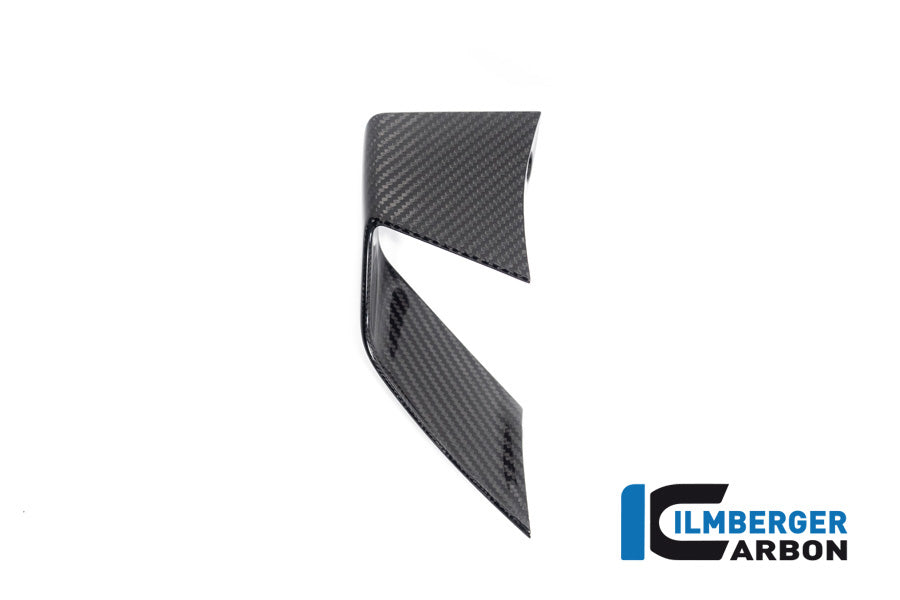 Ilmberger Carbon Fairing Side Winglet, Left Side for the BMW S 1000 R 2021