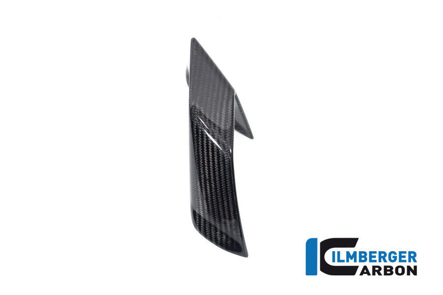 Ilmberger Carbon Fairing Side Winglet, Left Side for the BMW S 1000 R 2021