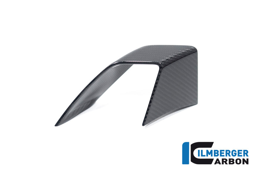 Ilmberger Carbon Fairing Side Winglet, Left Side for the BMW S 1000 R 2021