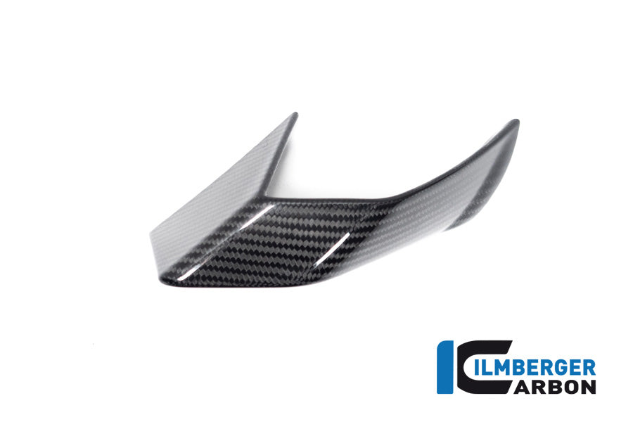 Ilmberger Carbon Fairing Side Winglet, Left Side for the BMW S 1000 R 2021