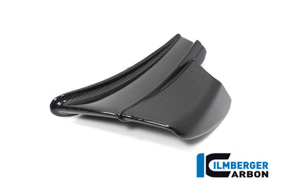 Ilmberger Carbon Winglet, Left for the Ducati Panigale V4 R '19-21 / V4,V4 S '20