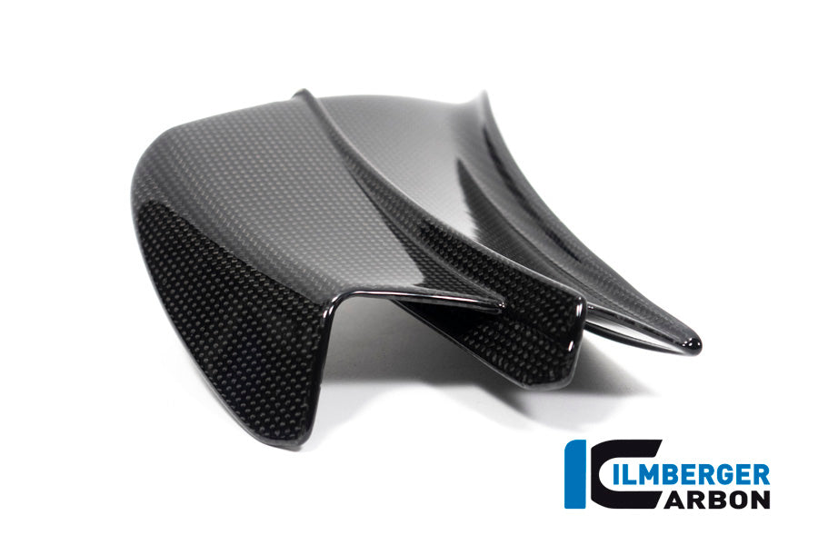 Ilmberger Carbon Winglet, Left for the Ducati Panigale V4 R '19-21 / V4,V4 S '20