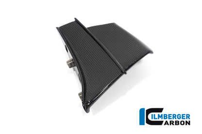 Ilmberger Carbon Winglet, Left for the Ducati Panigale V4 R '19-21 / V4,V4 S '20