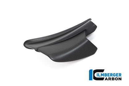 Ilmberger Carbon Winglet, Left for the Ducati Panigale V4 R '19-21 / V4,V4 S '20