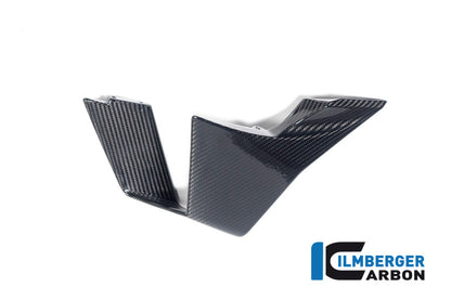 Ilmberger Carbon Winglet Right Side for the BMW M 1000 RR 2023-2024