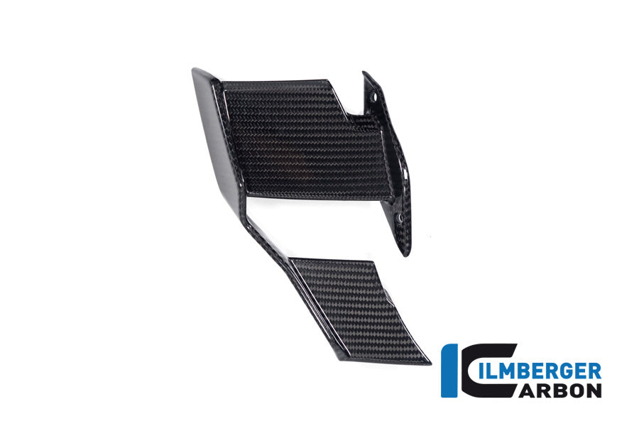 Ilmberger Carbon Winglet, Right for the BMW M 1000 R 2023-2024