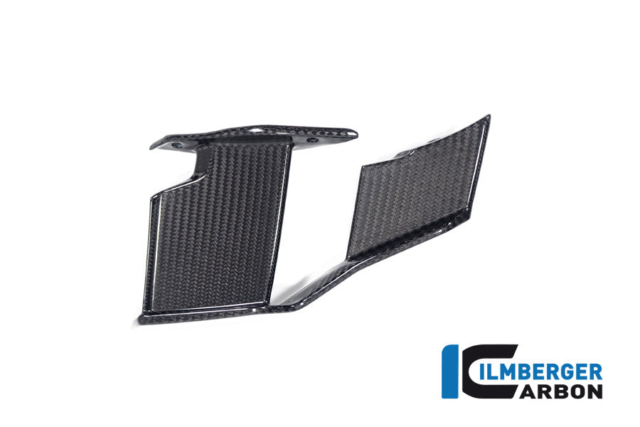 Ilmberger Carbon Winglet, Right for the BMW M 1000 R 2023-2024
