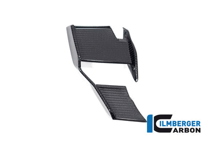 Ilmberger Carbon Winglet, Right for the BMW M 1000 R 2023-2024