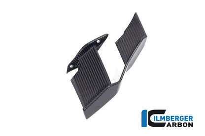 Ilmberger Carbon Winglet, Right for the BMW M 1000 R 2023-2024