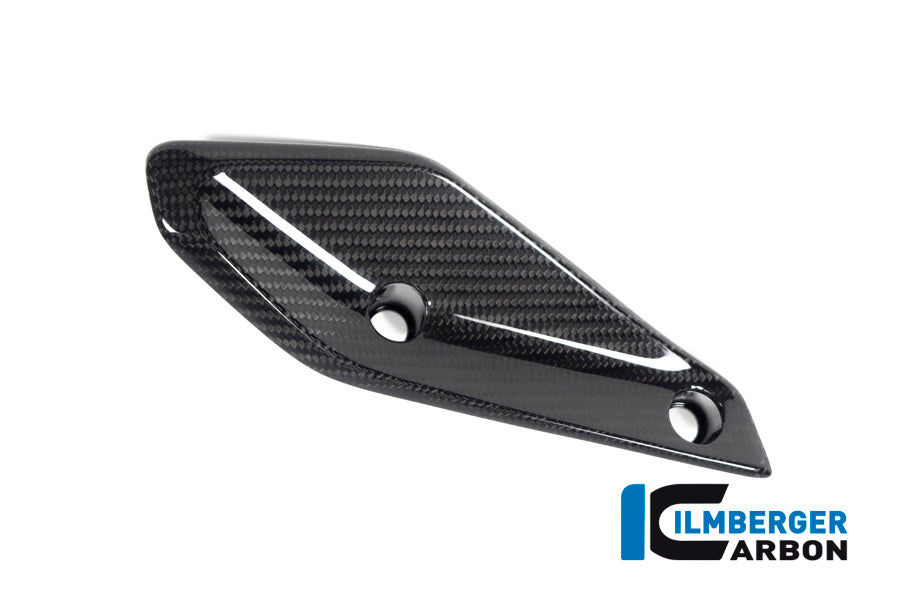 Ilmberger Carbon Flap on the fairing, Right side for the BMW R 1250 RS 2019