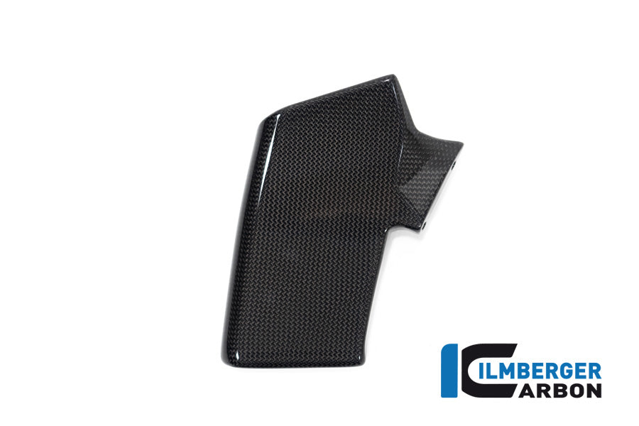 Ilmberger Carbon Fairing Side Winglet Kit Right, for the Ducati Streetfighter V2 '22 / Streetfighter V4 '20-23
