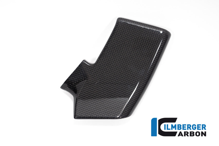 Ilmberger Carbon Fairing Side Winglet Kit Right, for the Ducati Streetfighter V2 '22 / Streetfighter V4 '20-23
