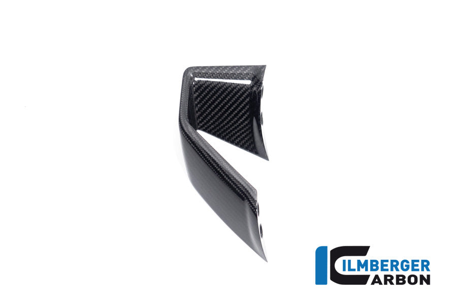 Ilmberger Carbon Fairing Side Winglet, Right Side for the BMW S 1000 R 2021