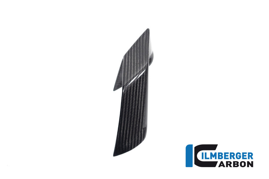 Ilmberger Carbon Fairing Side Winglet, Right Side for the BMW S 1000 R 2021