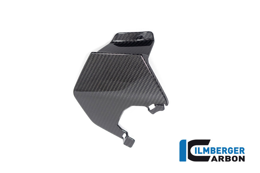 Ilmberger Carbon Upper Wing, Right for the BMW M 1000 XR 2024