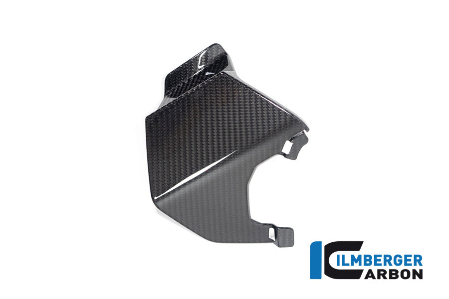 Ilmberger Carbon Upper Wing, Right for the BMW M 1000 XR 2024