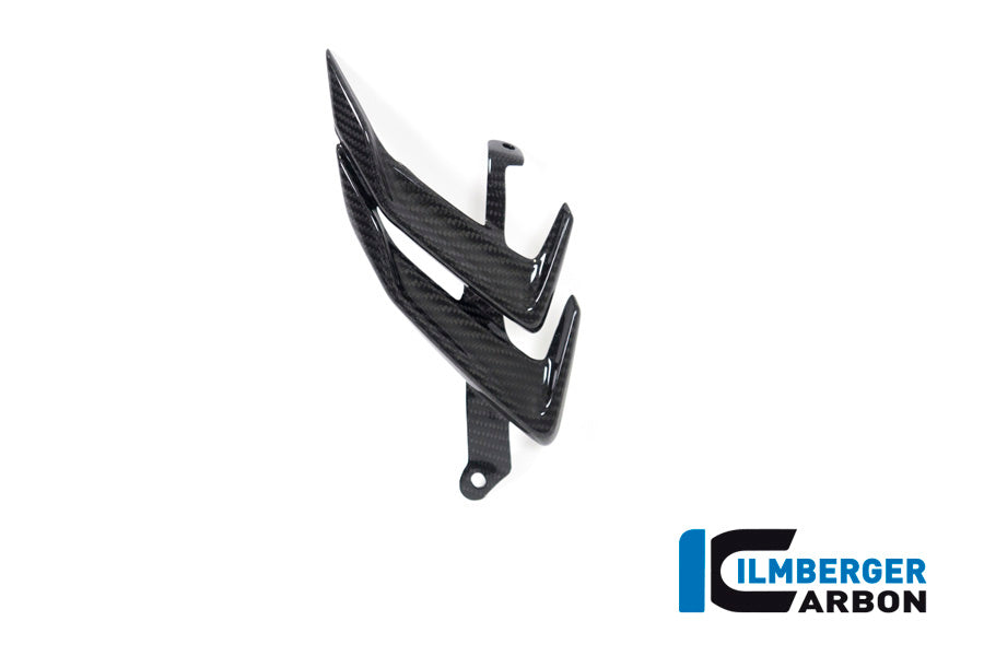Ilmberger Carbon Winglet Right for the BMW M 1000 RR 2021-2022