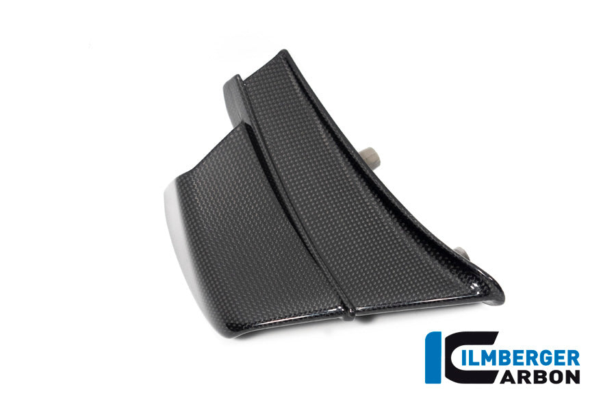 Ilmberger Carbon Winglet, Right for the Ducati Panigale V4 R '19-21 / V4,V4 S '20