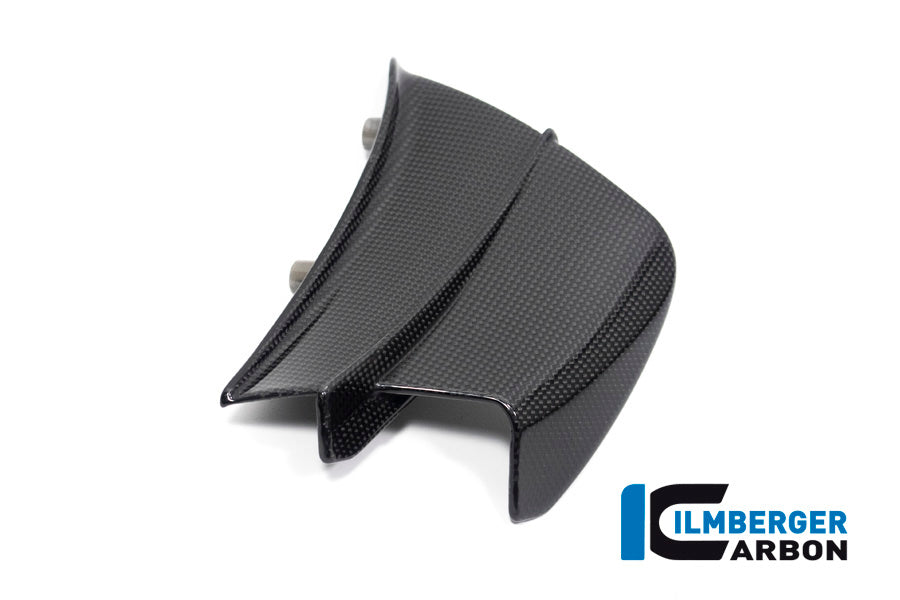 Ilmberger Carbon Winglet, Right for the Ducati Panigale V4 R '19-21 / V4,V4 S '20