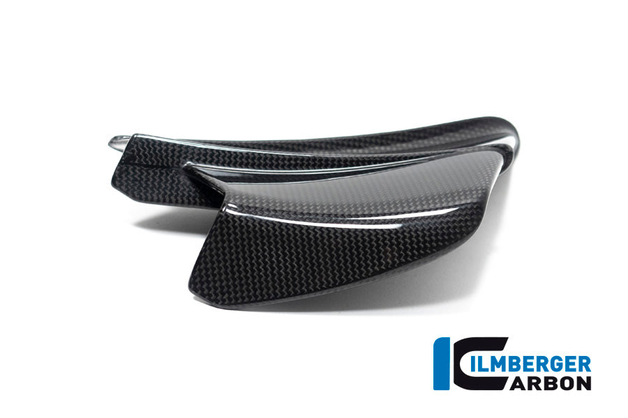 Ilmberger Carbon Winglet, Right for the Ducati Panigale V4 R '19-21 / V4,V4 S '20