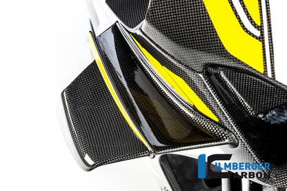 Ilmberger Carbon Winglet, Right for the Ducati Panigale V4 R '19-21 / V4,V4 S '20