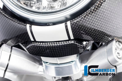 Ilmberger Carbon Fairing Holder for the BMW R Nine T  2014-2017
