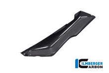 Ilmberger Carbon Cover under the Front Fairing, Left side for the BMW R 1250 RS 2019