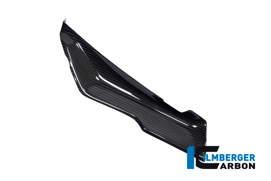 Ilmberger Carbon Cover under the Front Fairing, Left side for the BMW R 1250 RS 2019