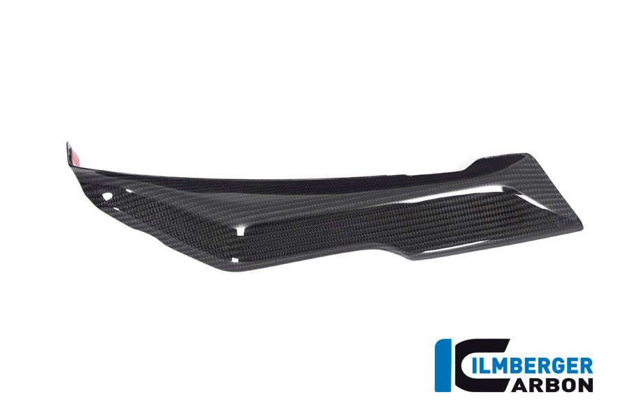 Ilmberger Carbon Cover under the Front Fairing, Left side for the BMW R 1250 RS 2019