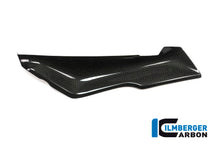 Ilmberger Carbon Left Cover under the Front Fairing for the BMW R 1200 RS 2015