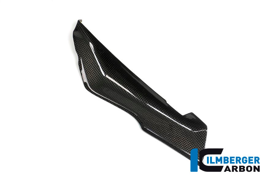 Ilmberger Carbon Left Cover under the Front Fairing for the BMW R 1200 RS 2015