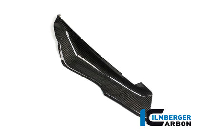 Ilmberger Carbon Left Cover under the Front Fairing for the BMW R 1200 RS 2015