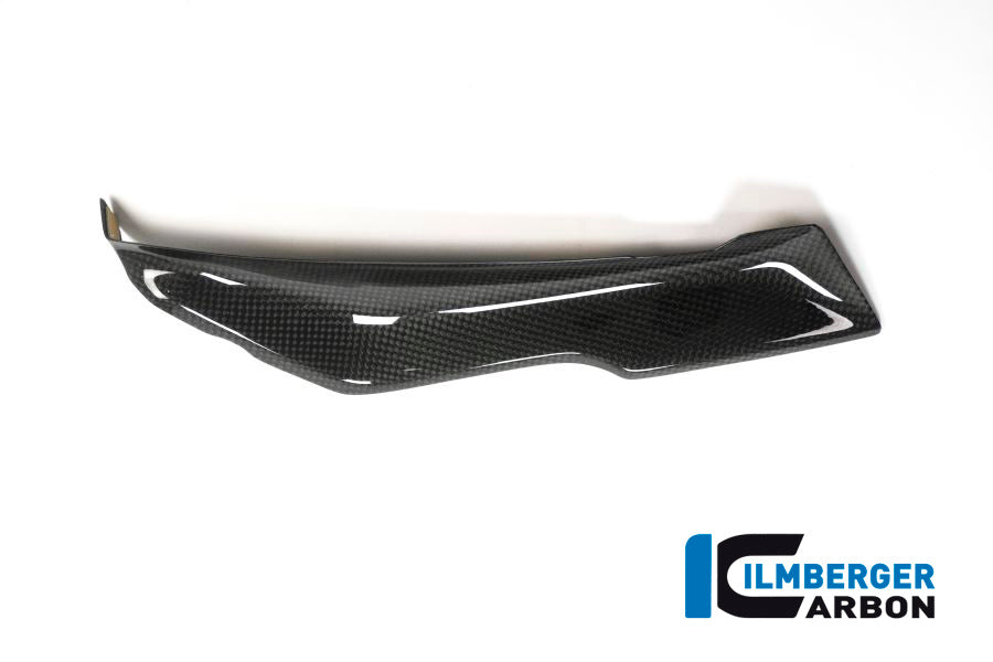 Ilmberger Carbon Left Cover under the Front Fairing for the BMW R 1200 RS 2015