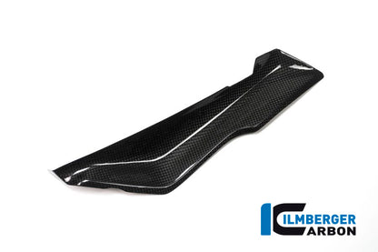 Ilmberger Carbon Left Cover under the Front Fairing for the BMW R 1200 RS 2015