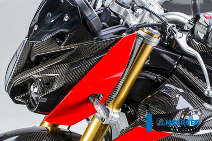 Ilmberger Carbon Front Fairing Side Panel, Left Side Carbon for the BMW S 1000 R 2014-2017