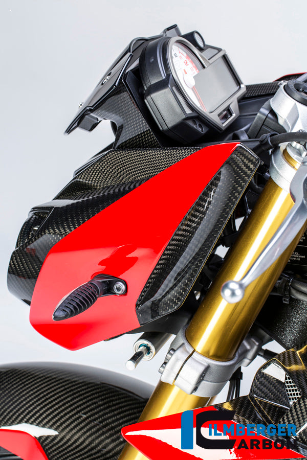 Ilmberger Carbon Front Fairing Side Panel, Left Side Carbon for the BMW S 1000 R 2014-2017